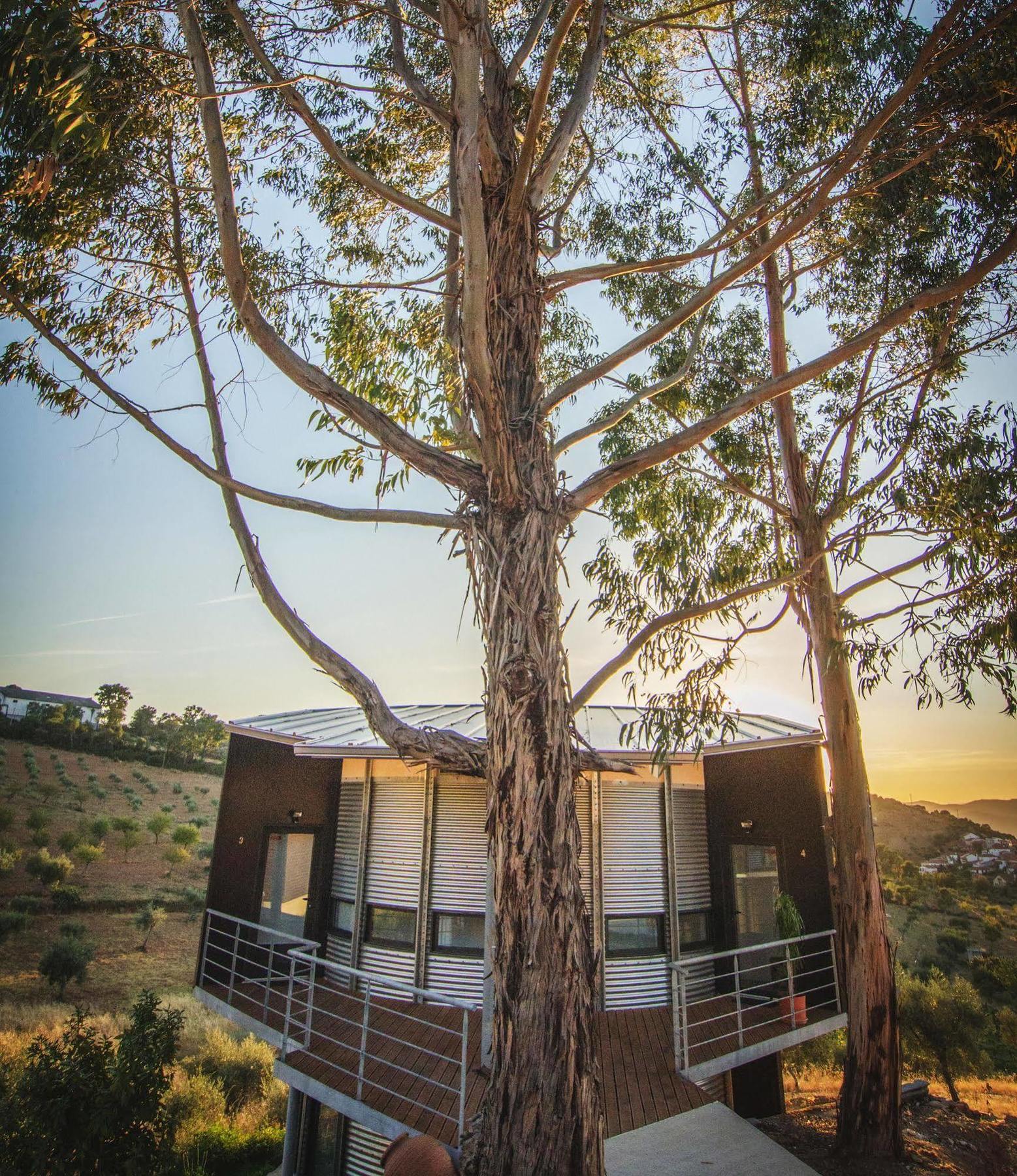 Bela Vista Silo Housing Villa Alfândega da Fé Eksteriør billede